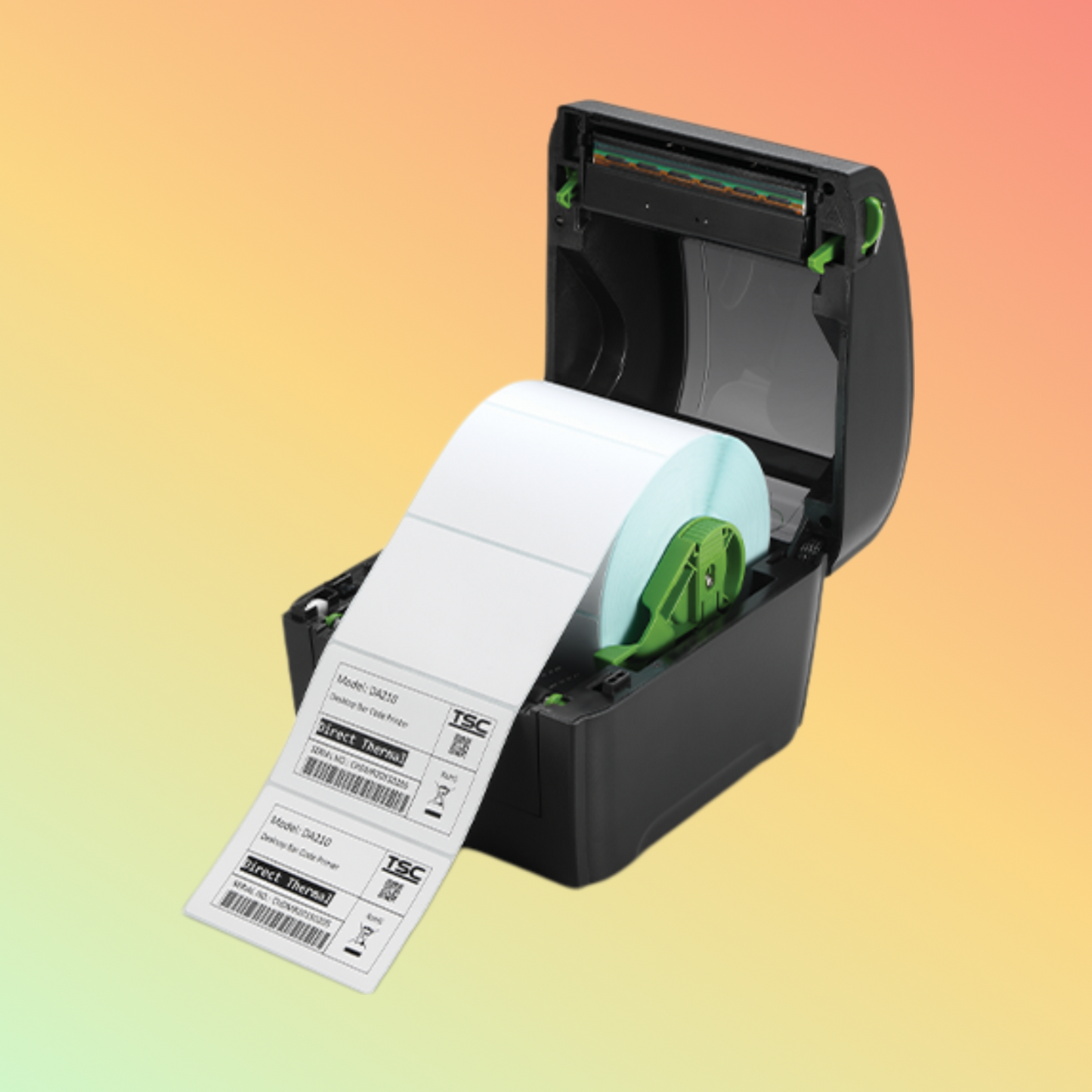 TSC ProLabel Express DT Printer [203dpi]