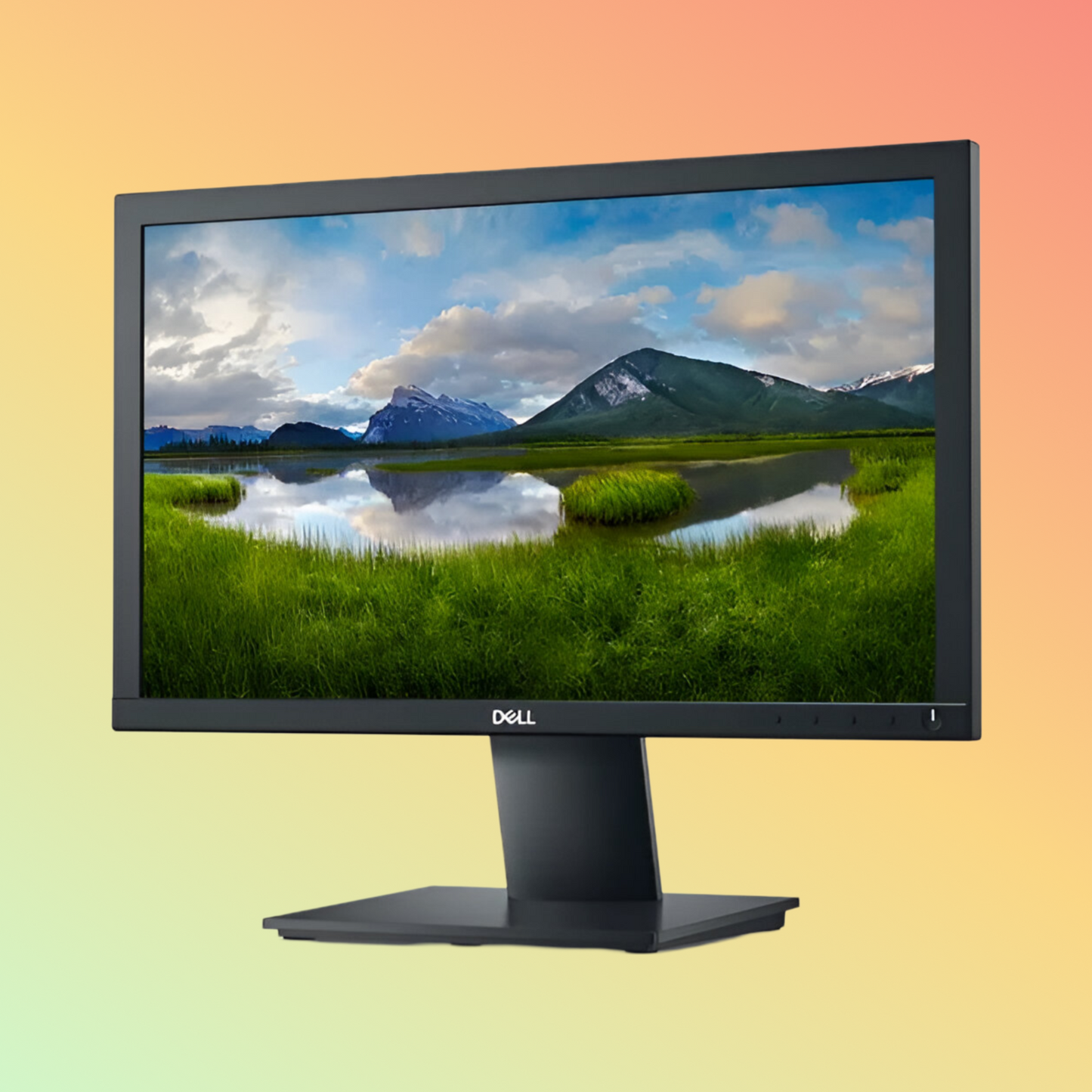 DELL E1920H Monitor - 19" HD (1366 x 768)