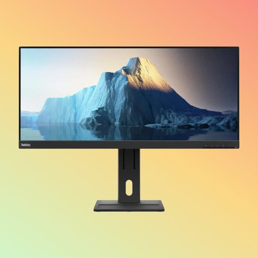 LENOVO THINKVISION E29w-20 Monitor - 29" FHD (2560 x 1080), IPS, HDMI, DP, 300 nits, 60 Hz