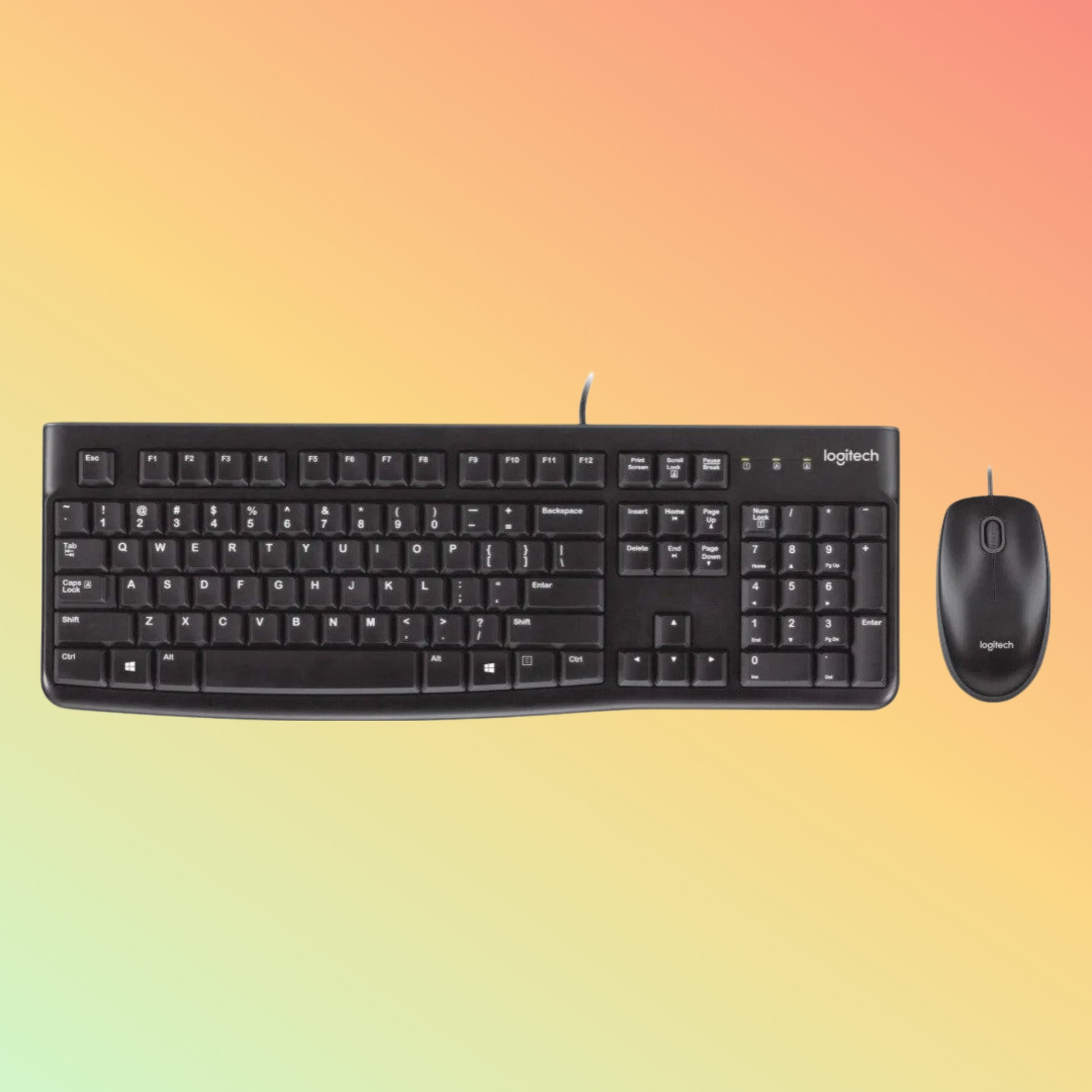 Logitech MK120 Combo Plug-and-Play Setup