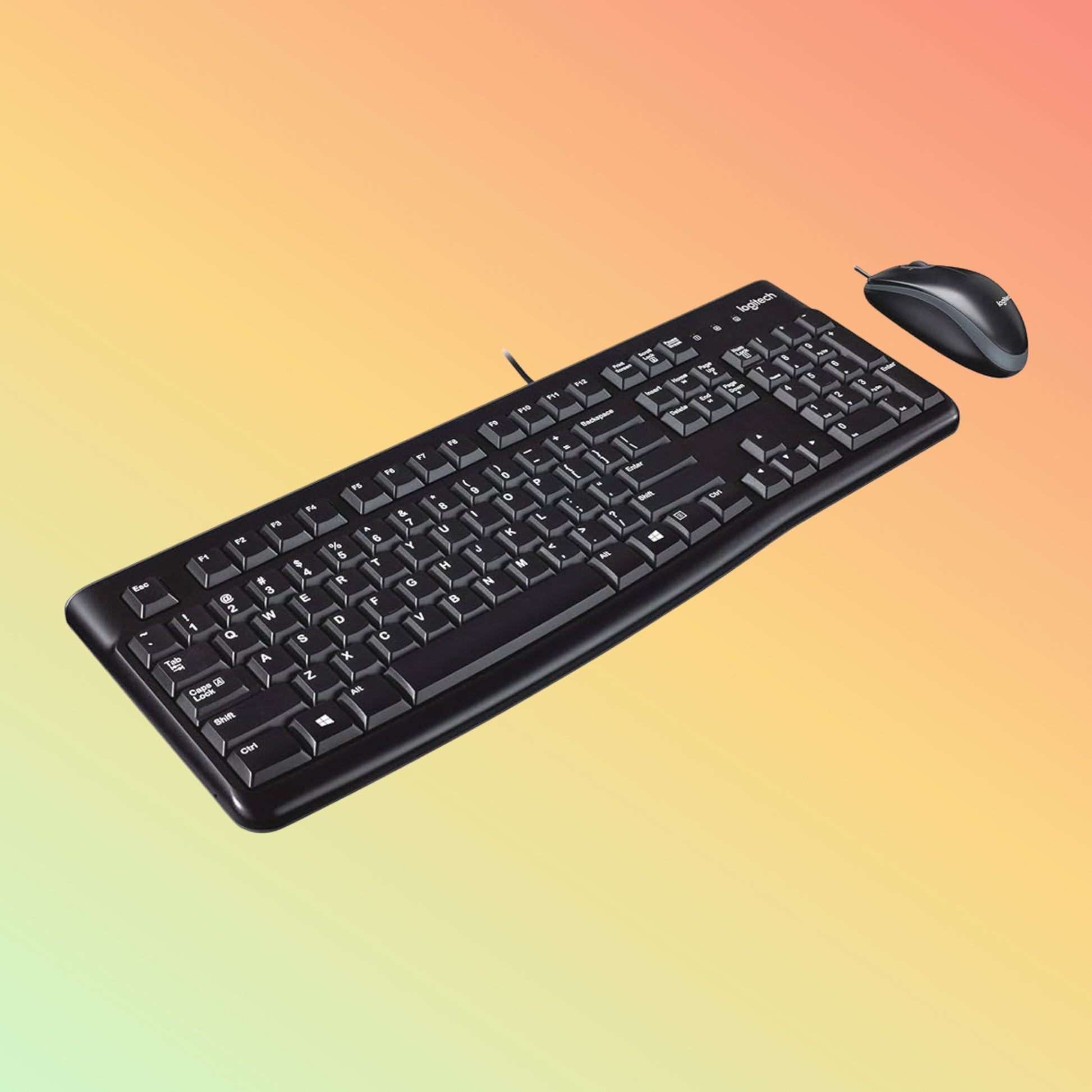 Logitech MK120 Quiet Typing Keyboard