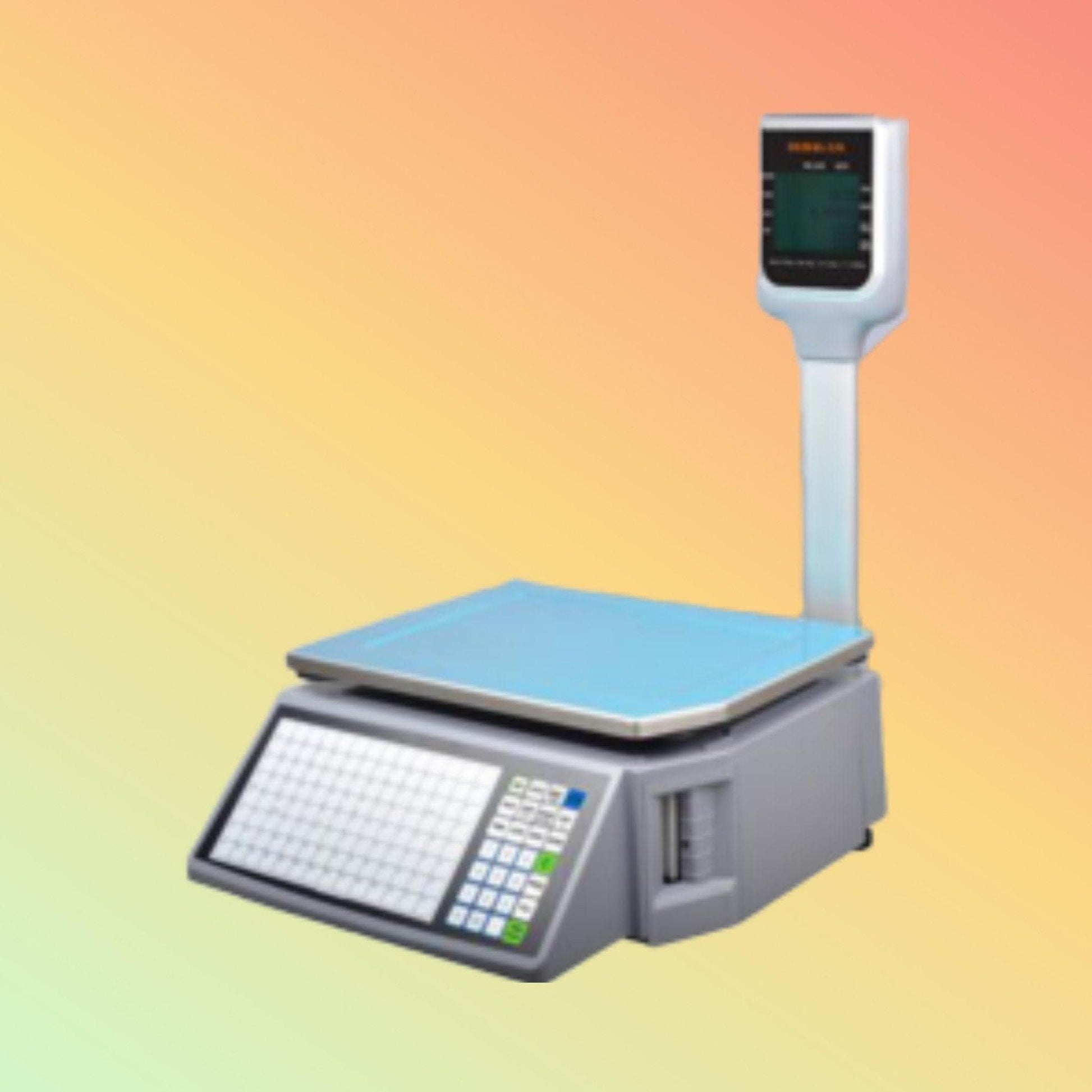 Weighing Scale - Rongta RLS1000D - NEOTECH