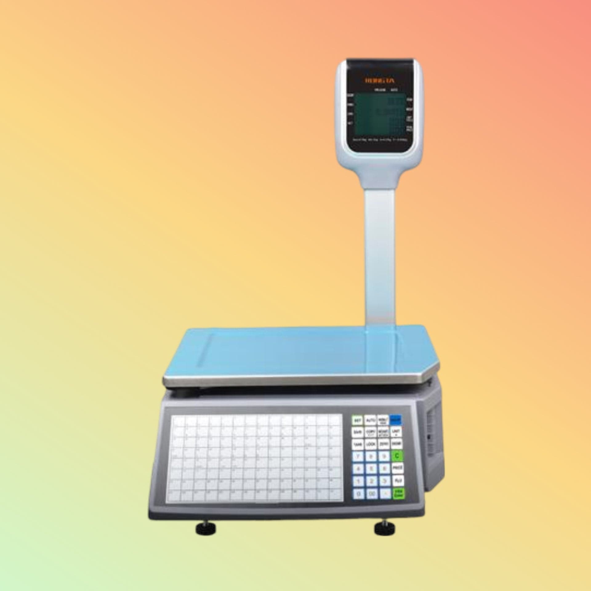 Weighing Scale - Rongta RLS1000D - NEOTECH