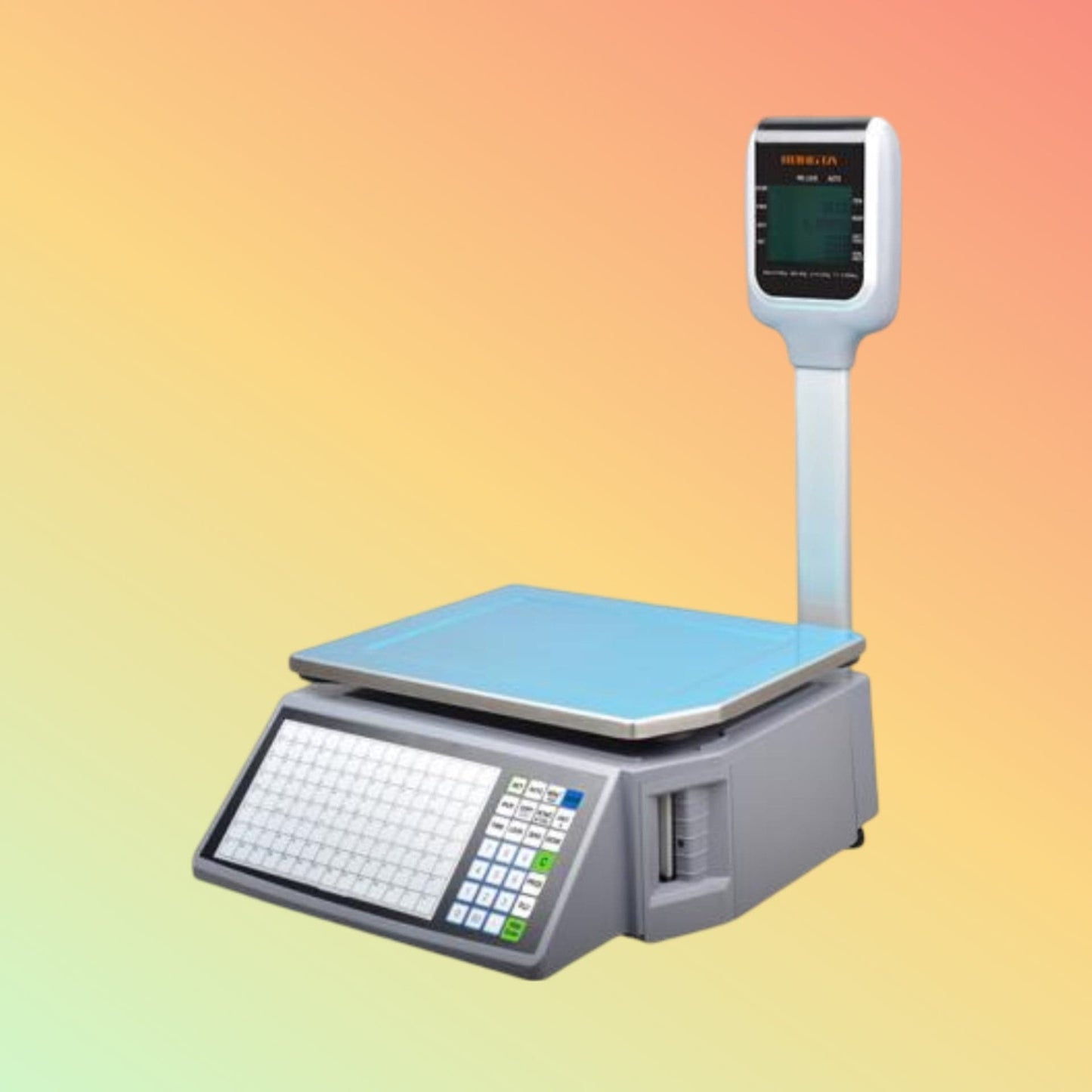 Weighing Scale - Rongta RLS1000D - NEOTECH